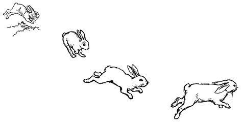 Rabbits Three Rabbits, Hopping Bunny, Bunny Jump, Running Drawing, Rabbit Jumping, Running Tattoo, Bunny Coloring, Rabbit Clipart, Rabbit Drawing