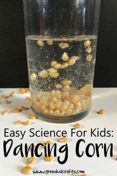Dancing corn is the perfect STEM activity for fall. Try this science experiment with your kids today! #fallstem #fallscience #corncrafts Dancing Popcorn, Dancing Corn, Vetenskapliga Experiment, Fall Stem Activities, Holiday Science, Fall Science, Green Crafts For Kids, Stem Experiments, Science For Toddlers