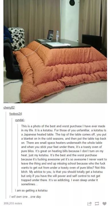 Useful Life Hacks, Tumblr Funny, Inner Child, My New Room, Kotatsu, Tumblr Posts, In My Life, Things To Buy, Need This