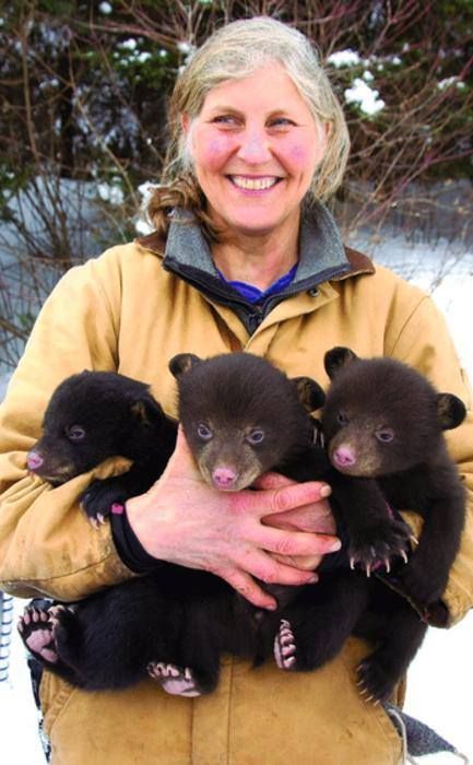 Black Bear Cubs, Character Of A Person, Conservation Biologist, Biology Major, Black Bear Cub, Wildlife Biologist, Conservation Biology, Park Ranger, Animal Sanctuary