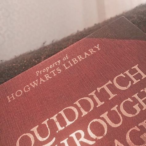 Quidditch Aesthetic, Ginny Weasley Aesthetic, Ron Weasley Aesthetic, Rabastan Lestrange, Walburga Black, Teddy Lupin, Weasley Aesthetic, Gryffindor Aesthetic, Harry Potter Wall