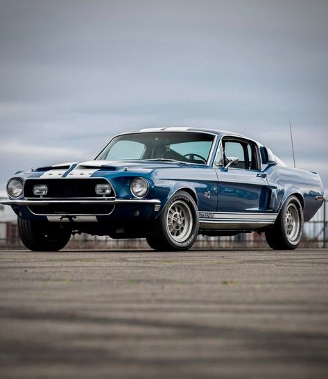 Tumblr, Ford Mustang 1968, Shelby Mustang Gt500, Ford Mustang Classic, Shelby Car, Car Man Cave, Vintage Mustang, Old Muscle Cars, Ford Mustang Shelby Gt500