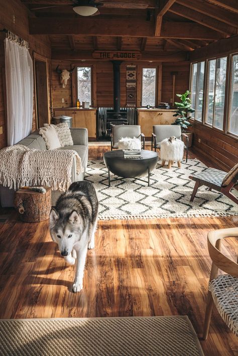 Step Inside Loki The Wolfdog’s Mountain Modern Lodge | Havenly Blog | Havenly Interior Design Blog Modern Cabin Interior, Charm Aesthetic, Chic Chalet, Modern Wooden House, Cabin Interior Design, House Coastal, Modern Lodge, Wooden House Design, Cabin Aesthetic