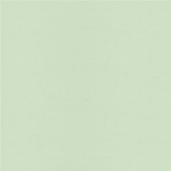 Classic Crest Sage Green Smooth 24# 23" x 35" Sage Green Wallpaper, Hijau Mint, Mint Green Aesthetic, Aqua Fabric, Green Flannel, Green Palette, Homespun Fabric, Minty Green, Pet Id Tags