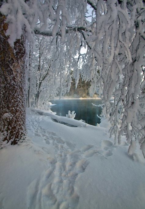 Hidden Ice Winter Szenen, I Love Snow, Snow Pictures, Belle Nature, I Love Winter, God Jul, Winter Love, Winter Photos, Winter Magic