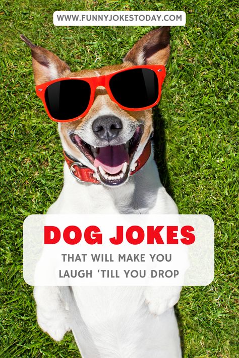 Animal Humour, Dog Jokes Hilarious Funny, Dog Jokes Hilarious, Best Dad Jokes, Kids Jokes, Funny Dog Jokes, Funny One Liners, Short Dog, Animal Humor