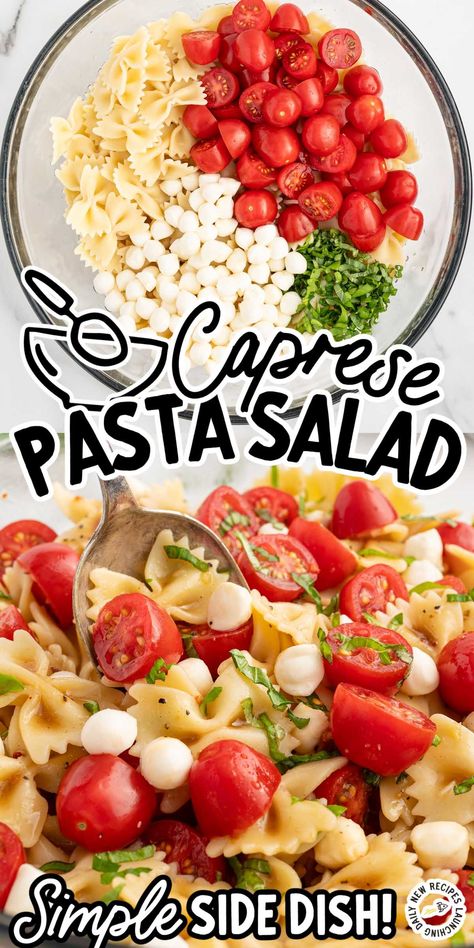 Tomato Mozzarella Salad Pasta, Mozzarella Balls Pasta, Tomato Basil Balsamic, Easy Caprese Pasta Salad, Pasta Salad With Balsamic Vinaigrette, Garden Rotini Pasta Salad, Pasta Salad With Mozzarella Balls, Italian Potluck Ideas, Tomato Mozzarella Pasta Salad