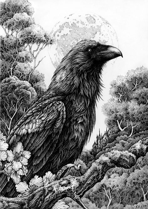 Pen Drawings, Black Pen Drawing, Micron Pen Art, Black Ink Art, Ink Pen Art, Pen Illustration, Pen Art Drawings, Crow Art, Ink Artwork