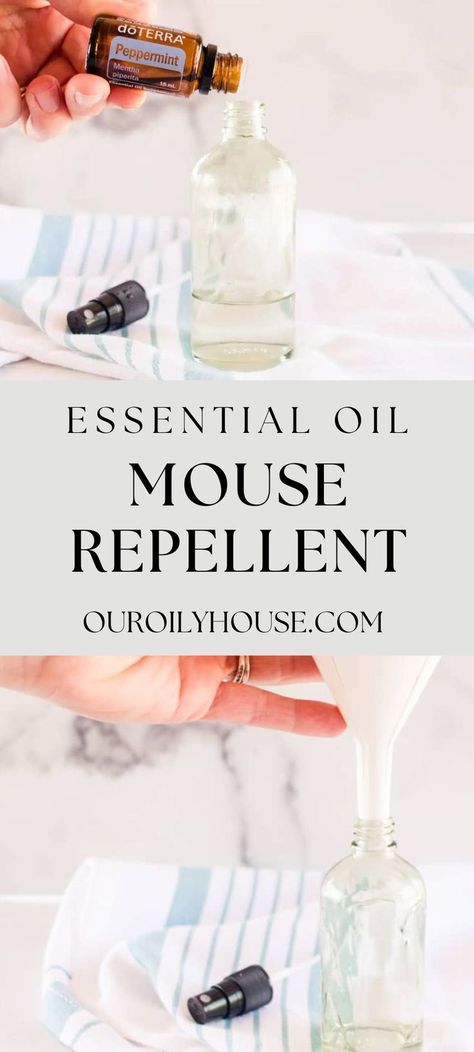 Natural Repellent For Mice, Essential Oil Mice Repellant, Mouse Deterant Mice Repellent, Natural Remedies To Get Rid Of Mice, What Repels Mice, Mouse Repellant Diy, All Natural Mouse Repellent, Diy Rodent Repellent Spray, Deter Mice From House