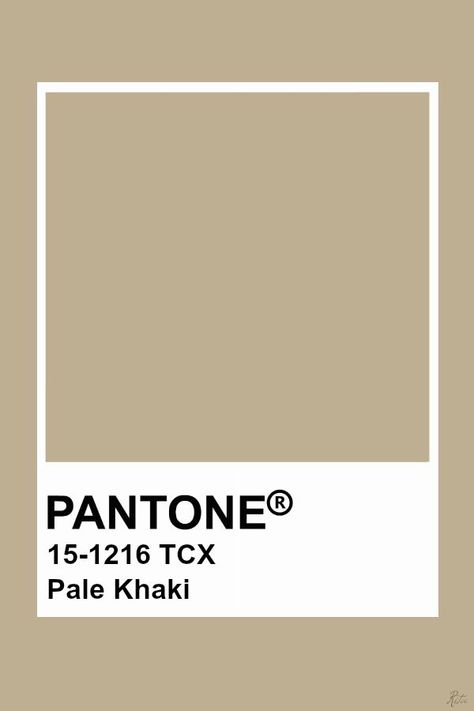 Khaki Pantone Colour Palettes, Pale Khaki Pantone, Pantone Khaki, Khaki Colour Palette, Khaki Pantone, Pantone Beige, Khaki Aesthetic, Khaki Palette, Khaki Color Palette