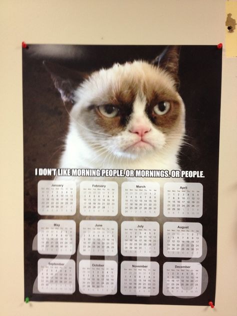 This is a list of all the days I hate this year. Cat Dresses, Grumpy Cat, Tv Remote, Remote Control, Electronic Products
