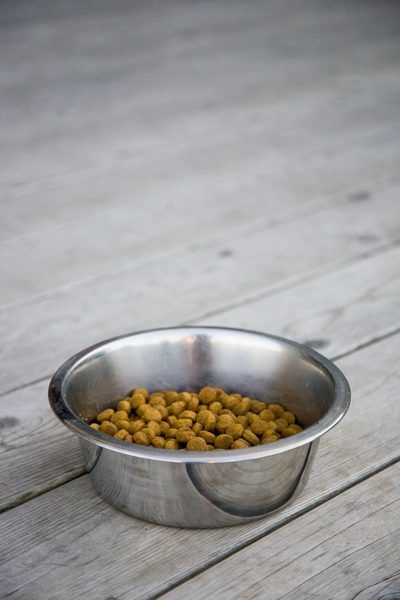 Jupiterimages/Photos.com/Getty Images Dog Kibble Recipe, Dog Kibble, Diy Dog Food, Make Dog Food, Dog Treats Homemade Recipes, Food Dog, Food Online, Healthy Dog Food Recipes, Puppy Food