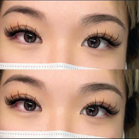 Wide Set Eye Lashes, Manhwa Lashes Extension, Eyelash Extension Asian Eyes, Asian Lashes Extensions, Natural Anime Lashes, Lash Extensions Styles Asian Eyes, Hybrid Lash Extensions Asian Eyes, Asian Lash Extensions Styles, Lashes On Asian Eyes