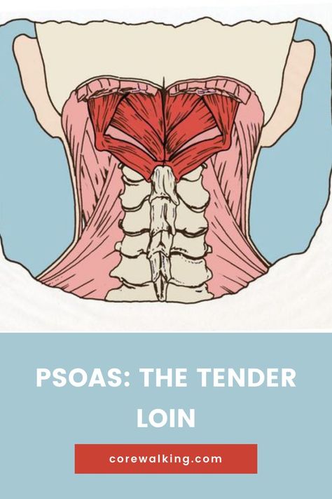 Releasing Psoas Muscle, Psoas Muscle Of The Soul, Psoas Mobility, Psoas Release Trigger Points, Psoas Stretch Release, Block Therapy, 2024 Healing, Psoas Muscle Pain, Psoas Stretch