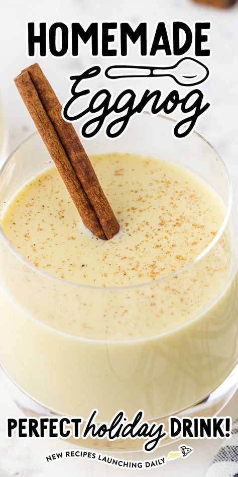 How To Make Eggnog Homemade, Boiled Custard, Alcoholic Eggnog, Moose Recipes, Classic Eggnog, Eggnog Recipes, Eggnog Recipe Homemade, Eggnog Drinks, Homemade Eggnog