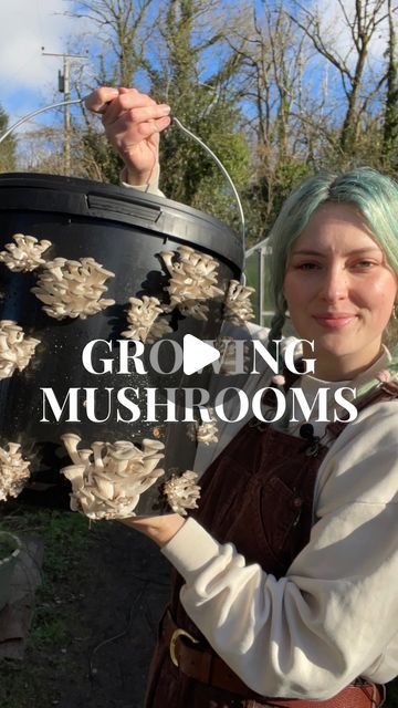 Backyard Mushroom Garden, Growing Your Own Mushrooms, Button Mushrooms Growing, How To Grow Enoki Mushrooms, Growing Enoki Mushrooms, Grow Oyster Mushrooms At Home, Mushroom Growing Diy, How To Preserve Mushrooms For Decoration, Grow Mushrooms Indoors