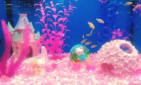 Discovered by kawaii kanye west. Find images and videos on We Heart It - the app to get lost in what you love. Fish Tank Themes, Cool Fish Tanks, Fish Tank Design, Coconut Dream, Betta Tank, Turtle Tank, Betta Fish Tank, Pink Fish, Cool Fish