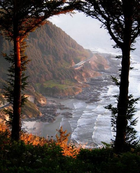 My inner landscape Narnia, Oregon Coast, 숲 사진, Theme Nature, Pretty Places, The Coast, Dream Vacations, Vacation Spots, Travel Dreams