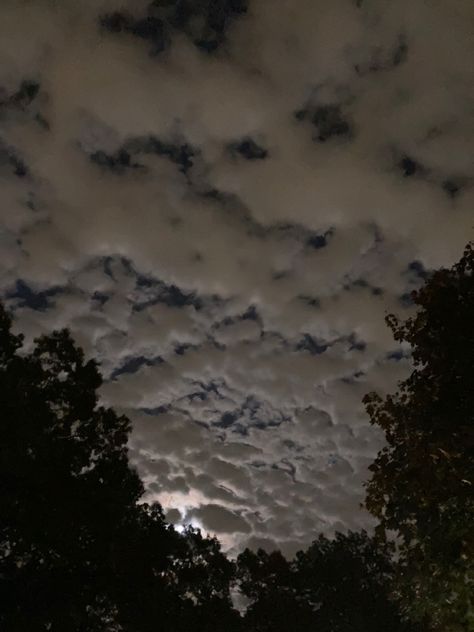 clouds night sky cloud aesthetic trees moon dark core vibe mood grunge Nature, Nova Core, Mood Grunge, Clouds Night Sky, Aesthetic Trees, Clouds Night, Dark Core, Vibe Mood, Cloud Aesthetic