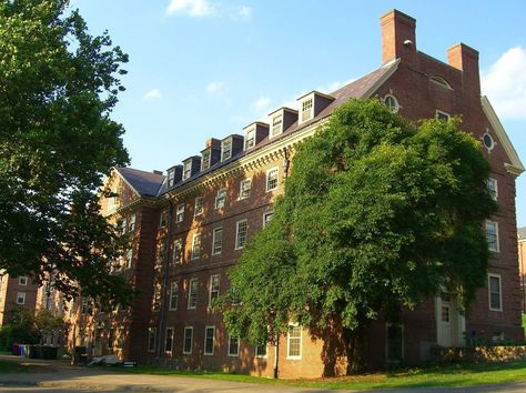 Massachusetts Aesthetic, Amherst Massachusetts, Umass Amherst, University Of Massachusetts Amherst, Amherst College, I Don't Understand, University Of Massachusetts, International University, Her Campus