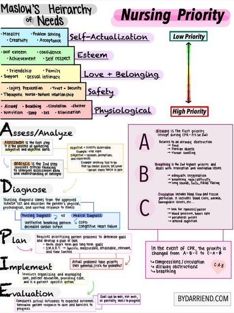 Nursing School Studying Cheat Sheets, King Abdulaziz, Nursing School Inspiration, Nursing Study Tips, Nursing School Essential, Lpn Schools, Nursing School Motivation, Nursing Study Guide, Nurse Study Notes