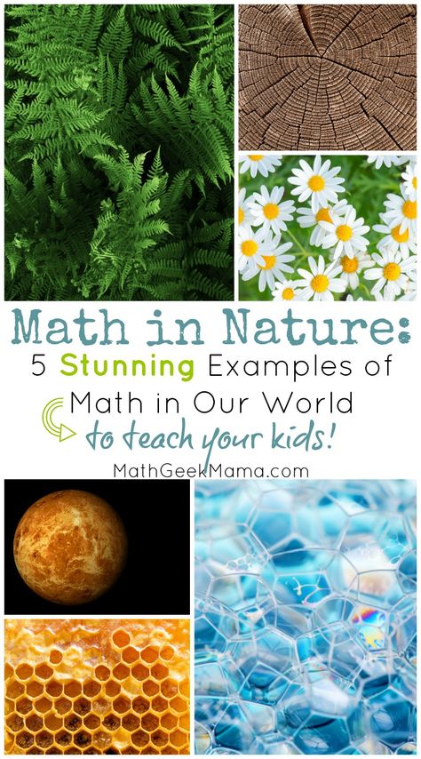 Do you notice math in the natural world? Do your kids? Learn about and explore the beauty of math in nature and then get outside to see it for yourself. Math In The Garden, Math In Real Life Project, Nature Math Activities Preschool, Math In Nature, Outdoor Maths, Maths In Nature, Math Art Projects, Fractals In Nature, Nature Lessons