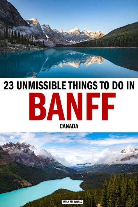 The Bucket List, Grizzly Bears, Things To Do In Banff, Bucket List Items, Alberta Travel, Banff Canada, Canada Travel Guide, Banff Alberta, Canadian Travel