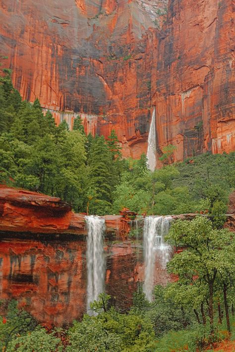 12 Best Things To Do In Zion National Park, USA - Hand Luggage Only - Travel, Food & Photography Blog Things To Do Around Zion National Park, Zions National Park, National Park Pictures, State Parks Usa, Usa National Parks, Zion Park, Utah Trip, National Park Lodges, Zion Canyon