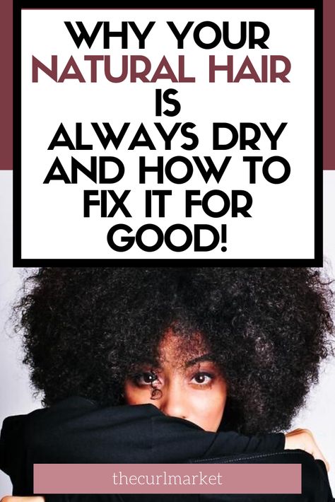 Moisturize Natural Hair, Dry Natural Hair, Natural Hair Moisturizer, Natural Hair Routine, High Porosity Hair, Natural Hair Regimen, How To Grow Natural Hair, American Hairstyles, Natural Hair Care Tips