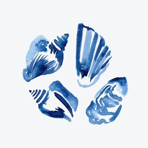 Instagram, Art, Shells, Seashells Drawing, Sketch, Instagram Photos, On Instagram, Blue