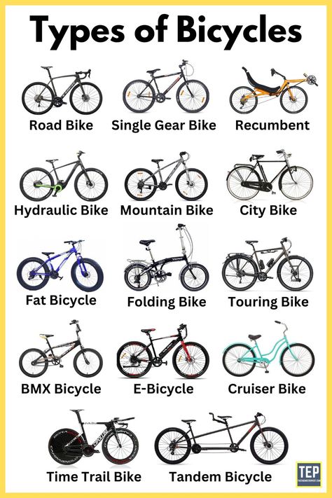 Cycles | Types of Cycles | Different Types of Cycles | Road Bike | Single Gear Cycle | Recumbent Cycle | Mountain Bike | City Bike | Folding Cycle | Touring Bike | Electric Bike | Cruiser Bike | Time Trail Bike | Tandem Bicycle Parts Of A Bicycle, Bicycle Reference, Single Gear Bike, Fixie Wheels, Race Bike Cycling, Adventure Bicycle, Bike Types, Bikes For Women, Types Of Bicycles
