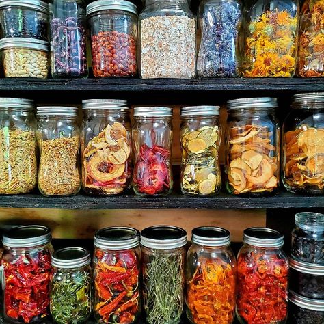 Holly 🌺 Urban Homesteader on Instagram: “Hey there! I get so many questions about my dried goods garden pantry. Especially about the dehydrated foods. In this photo the bottom &…” Garden Pantry, Make Healthy Snacks, Herb Salt, Chive Blossom, Water Fruit, Dehydrated Foods, Fruit Fresh, Quick Dip, Dried Food