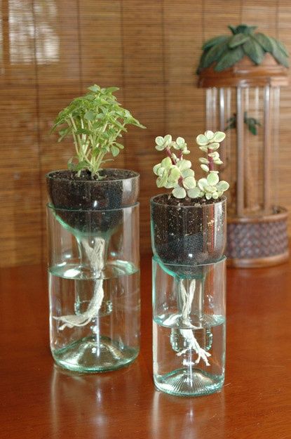 Diy Self Watering Planter, Wine Bottle Planter, Old Wine Bottles, Reuse Plastic Bottles, Indoor Water Garden, Recycled Wine Bottles, Recycled Wine Bottle, Glass Bottle Diy, Recycled Glass Bottles