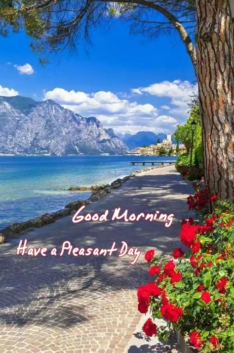 Good Morning Nature Images, Good Morning Sunrise, Good Morning Sunday Images, Lovely Good Morning Images, God Natt, Good Morning Nature, Good Morning Wallpaper, Good Morning Friends Images, Good Morning Beautiful Pictures