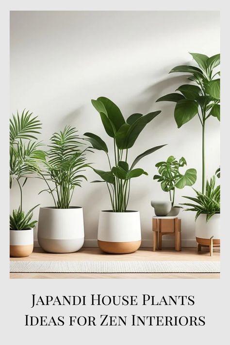 Discover Japandi house plants ideas that bring serene elegance to your space. Embrace minimalist greenery for a peaceful and stylish interior. Japandi Plants Living Room, Japandi Landscaping, Japandi Yard, Japandi Plant Decor, Japandi Backyard, Japandi Landscape, Japandi Plants, House Plants Ideas, Japandi Color Palette