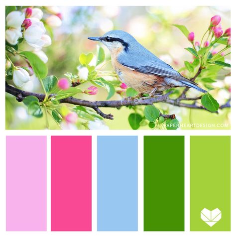 Color Palette 001 - The Seasons — Paper Heart Design  #colorpalette #design #bluebird #spring #pink #green #blue #colorscheme #colorinspiration Pink Blue Green Color Palette, Blue Green Pink Color Palette, Spring Colour Palette, Spring Bright, Bright Color Schemes, Spring Color Palette, Complimentary Color Scheme, Color Schemes Colour Palettes, Green Palette