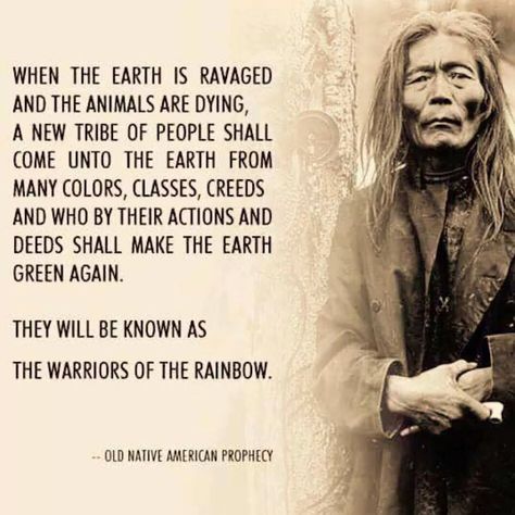 Warriors of the Rainbow – kameamoonmaiden Native American Prophecies, Native Quotes, American Indian Quotes, American Proverbs, Native American Prayers, Native American Proverb, Native American Spirituality, American Quotes, Indian Quotes