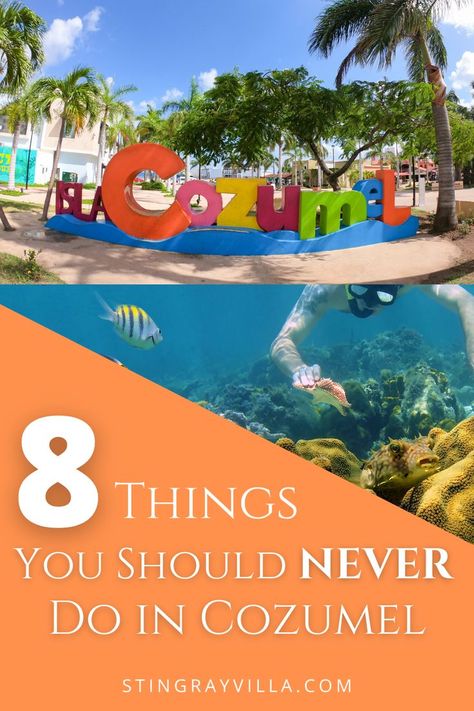 Cozumel is a charming island, renowned for its welcoming, affectionate people. But as with any new place, foreign guests are prone to making the occasional error in the unaccustomed surroundings. To avert such gaffes, look at our list of the things travelers should avoid doing on a holiday on Cozumel. Find out 8 Things You Should Never Do in Cozumel. Mexico, Cozumel Mexico Cruise Excursions, What To Buy In Cozumel, Cozumel All Inclusive Resorts, Disney Cruise Excursions Cozumel, Cozumel Port Things To Do, Cozumel Mexico Cruise Port, Things To Do In Cozumel Cruise Port, Things To Do In Cozumel Mexico