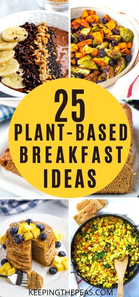 Plant Based Diet Breakfast, Quick Vegan Breakfast, High Protein Vegan Breakfast, Plant Based Diet Meals, Healthy Breakfast Meal Prep, Plant Based Recipes Breakfast, Vegan Breakfast Easy, Healthy Vegan Breakfast, Plant Based Diet Recipes