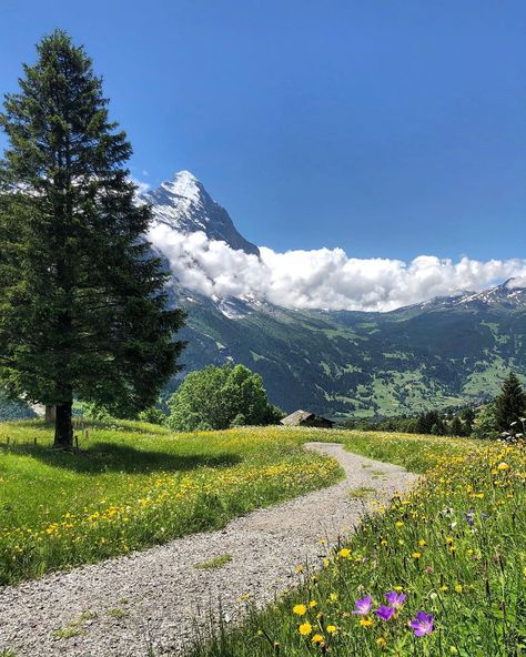 Switzerland In April, Grindelwald Switzerland, Trippy Aesthetic, Mountain Aesthetic, Photo Tag, Visit Switzerland, Raise Your Hand If, Raise Your Hand, Landscape Scenery