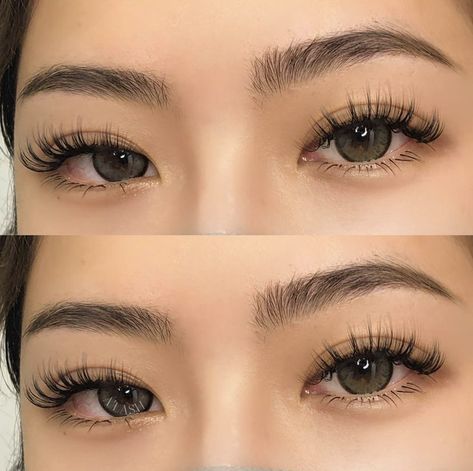 Whispy Lashes, Natural Fake Eyelashes, Lashes Fake Eyelashes, Wispy Eyelashes, Lashes Extensions, Lash Extensions Makeup, Cat Eye Lash, Lash Extensions Styles, Eyelash Extensions Styles