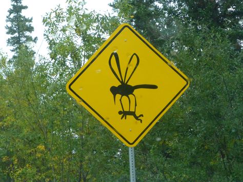 So true! Funny Road Signs, Funny Signs, Funny Street Signs, Jw Humor, Mosquito Repelling Plants, Sign Maker, Traffic Signs, Road Signs, Street Signs