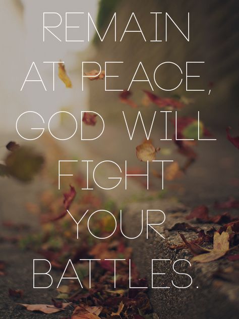 spiritualinspiration: “The Lord will fight for you, and you shall hold your peace and remain at... Bible Scriptures, Spiritual Quotes, Faith Quotes, E Card, Spiritual Inspiration, Verse Quotes, Bible Verses Quotes, Faith In God, Trust God