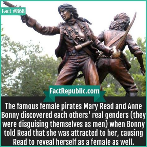 868. Mary Read Anne Bonny-The famous female pirates Mary Read and Anne Bonny discovered each others' real genders (they were disguising themselves as men) when Bonny told Read that she was attracted to her, causing Read to reveal herself as a female as well. Pirates Facts, Feminist Comics, Female Pirate Aesthetic, Pirate Facts, Lgbtq Facts, Pirates History, Ouat Outfits, Real Pirates, Female Pirates