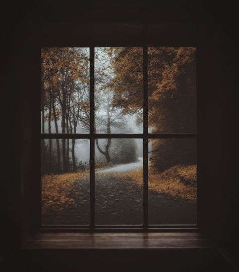 Nature, Conjure Aesthetic, Dark Window, Picasso Quote, Autumn Jumpers, Beautiful Bottles, Aesthetic Autumn, Autumn Magic, Spotify Covers