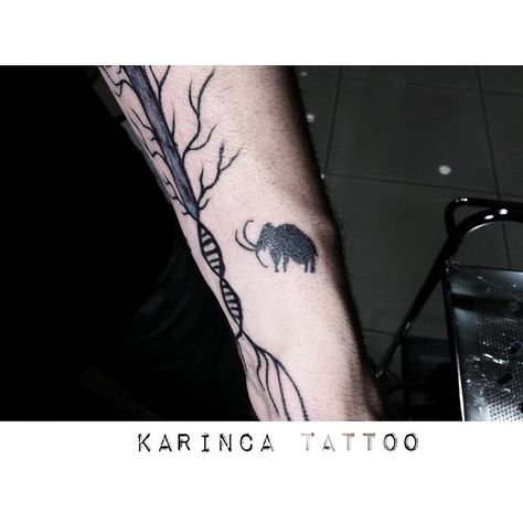 Prehistoric Minimal Tattoo vol.2 -Mammoth https://www.instagram.com/bahadircemtattoo/ #mammoth #prehistoric #tattoos #minimal #dövme Woolly Mammoth Tattoo, Prehistoric Tattoo, Mammoth Tattoo, Trilobite Tattoo, Tattoos Minimal, Tat Ideas, Word Tattoos, Minimal Tattoo, Tattoo Inspo