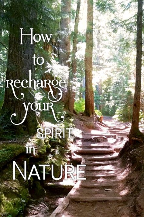 Discover ways to connect to mother earth and receive nature's energy. Nature, Nature Worship, Medicine Quotes, Mother Earth Art, Natural Air Purifier, Mother Earth Living, Eco Friendly Diy, Green Witchcraft, Earth Mama