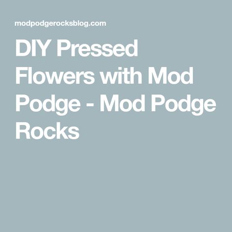 DIY Pressed Flowers with Mod Podge - Mod Podge Rocks Flowers, Diy Pressed Flowers, Dry Flowers, Mod Podge, A Frame, Make Art, Pressed Flowers, Dried Flowers, Frame