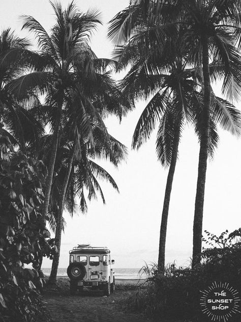 Los Angeles, Costa Rica, Vintage Land Cruiser, Vintage Beach Photography, Land Cruiser Toyota, Vintage Surf Photography, Palm Tree Photography, Toyota Fj40, Hawaii Photography