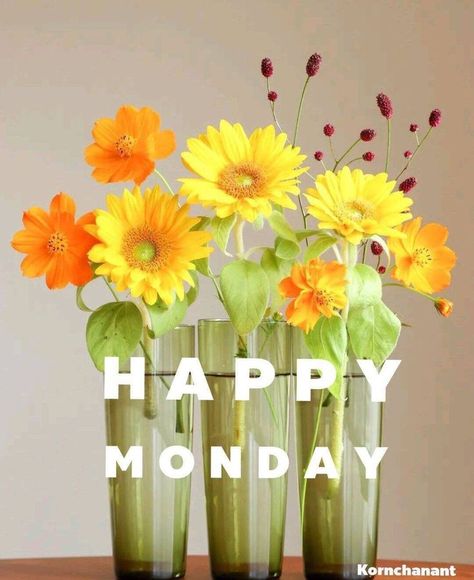 Happy Monday! May you have a bright and sunny day today! 🌞 Birthday Wishes For Nephew, Good Night Quotes Images, Monday Greetings, Inspirational Good Morning Messages, Good Morning Happy Monday, Good Morning Tuesday, Morning Monday, Good Morning Flowers Pictures, Good Morning Roses